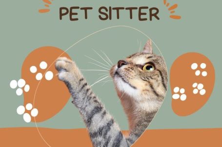 Pet-sitter